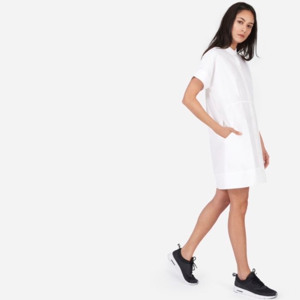 Everlane dress